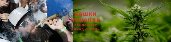 spice Осташков