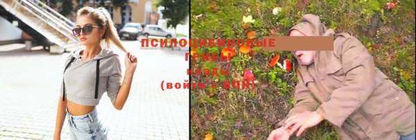 spice Осташков