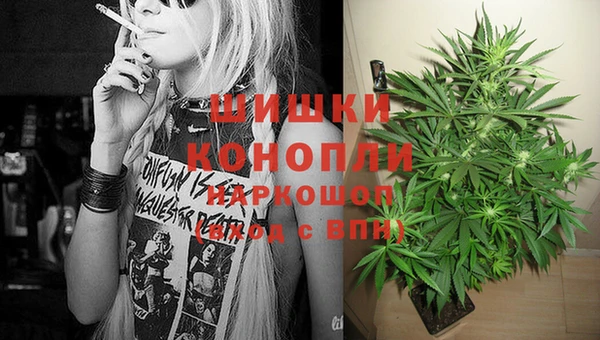сатива Остров