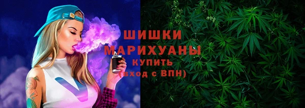 спиды Гатчина