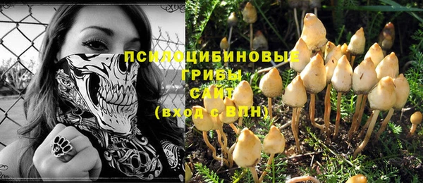 стафф Пестово