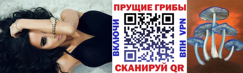 Галлюциногенные грибы мухоморы  Михайловск 