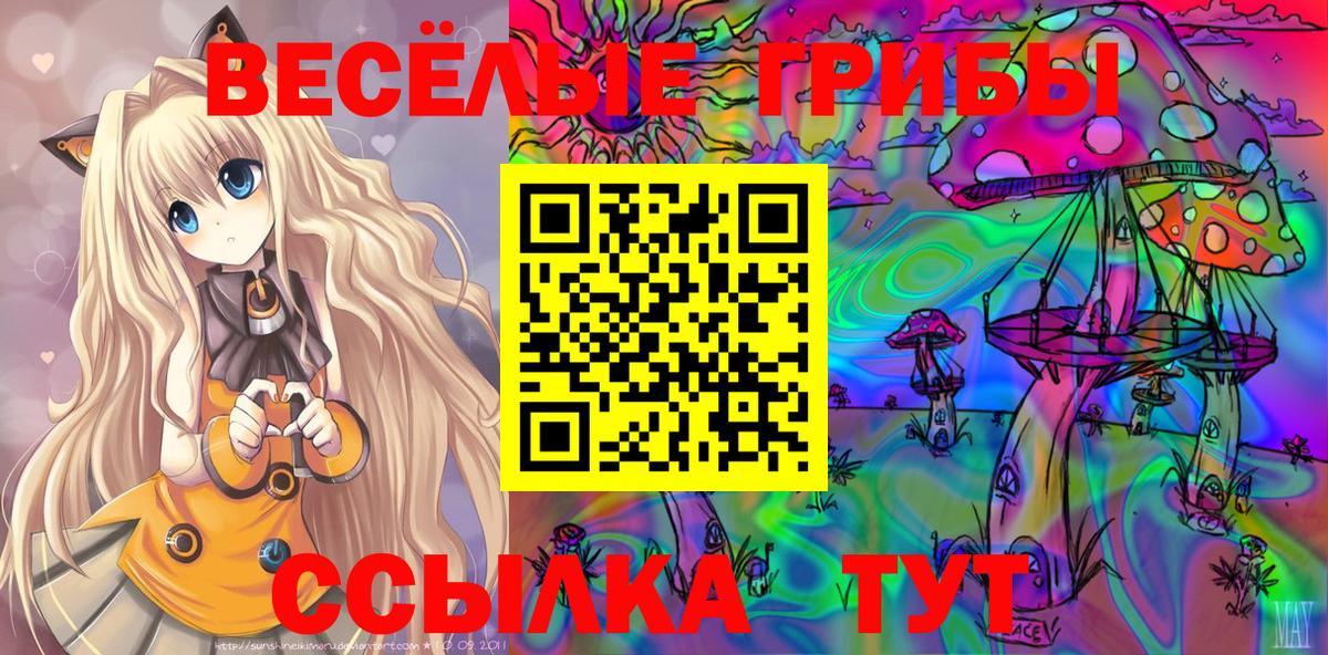 Михайловск  Галлюциногенные грибы мухоморы  Вход с VPN 