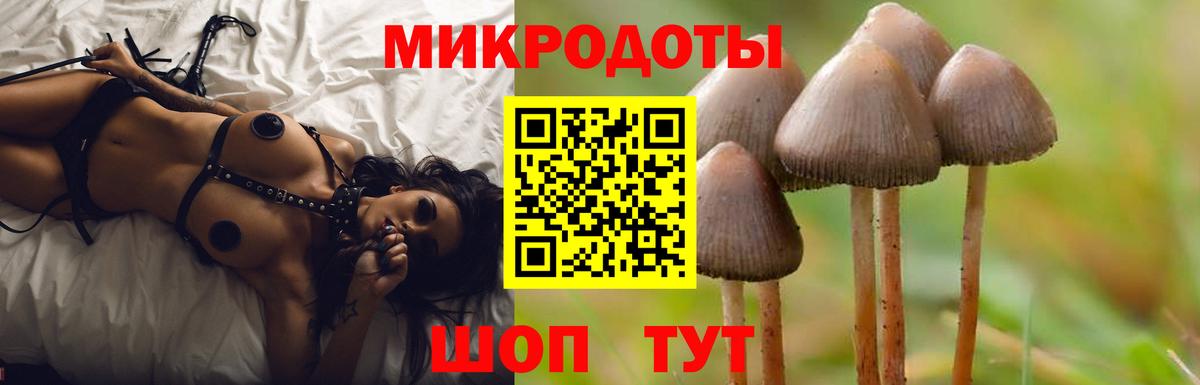 Псилоцибиновые грибы GOLDEN TEACHER Михайловск